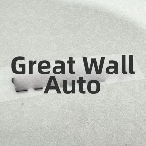 HAODI | Custom 3D Auto Emblem