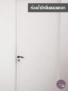 Nexlent Drain Backflow Preventer: A Comprehensive Guide