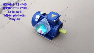 Động cơ motor 3pha 3hp - 22kw Toàn Phát tua nhanh 3000v/p giá rẻ