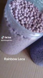JCLSGP Rainbow Leca Colourful Leca 1KG 500Gram