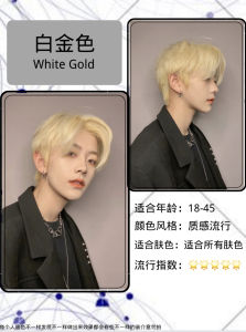 Stylefit Mens Hair Dye Cream Fade out Bleach Milk Tea Smoke Blue Gray Brown Home Application Hair Coloring Agent