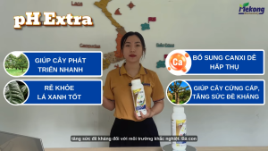 PHÂN BÓN TRUNG LƯỢNG PH EXTRA NHẬP KHẨU AUSTRALIA 16KG