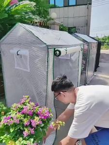 Plant Green House Outdoor Green House For Plant Plant Greenhouse Winter Garden Sunshine Room Home Gardening