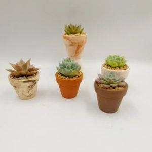 Chậu đất nung Bình Dương - Ly gờ 55 miệng chậu 5cm chiều cao 5cm