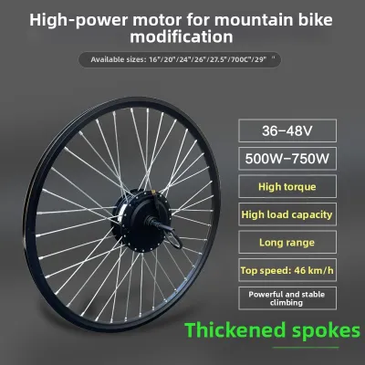 Bike to E-bike Conversion Kit Rotary Flight Motor