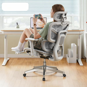 ZHUOLESHI | Ergonomic Comfortable Office Chair