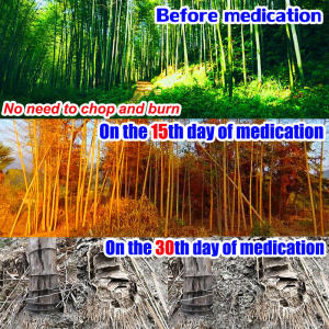 🔥New upgrade 1000% concentration!🌲racun pokok kayu besar tree killer racun pokok tabur Killing 100 year old tree!racun pokok paling kuat racun bunuh pokok besar racun bunuh pokok buluh racun rumput paling kuat kill bamboo / weeds 环嗪酮 除草剂