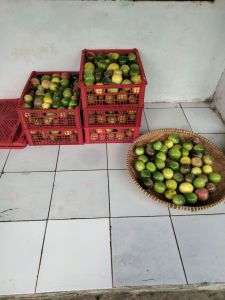 Buah markisa 1 kg