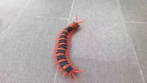 Rết điều khiển từ xa giống thật RICKY