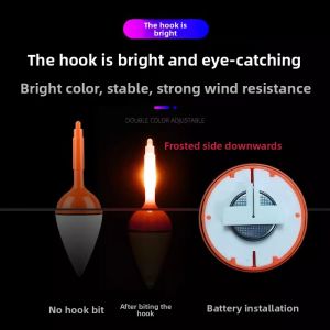 MONLEYTA | LED Night Glow Large Belly Float Fishing Float