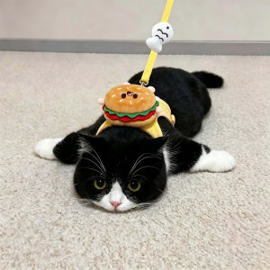 Petone dOrage | Cute Cartoon Hamburger Pet Harness Anti-escape Chest Strap