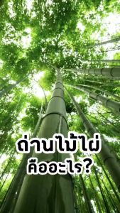 ถ่านไม้ไผ่ดูดกลิ่น Mosa Air 50 กรัม อากาศสดชื่น ปลอดภัยไร้สารเคมี [ แถมถุงผ้าฟรี ]