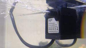 ราคาถูกสุด 220-240V 2 วัตต์ 3 วัตต์ น้ำประสาท ปั๊มน้ำ 220-240V 2 วัตต์