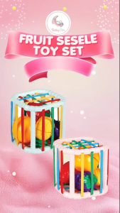 Smart Sprout Baby Fruit Sesele Toy Set Fruit Blocks Stacking Sensory Educational Toys