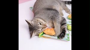 Đồ chơi bông nhồi catnip cho mèo Spring series – Đen Ta pet shop