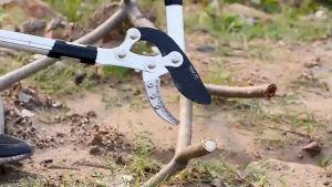 KEELAT High Branch Shears Retractable Strong Thick Shears Fruit Tree Flower Plant Lopper Cutter Tree Pruning Tool