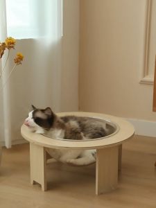 COD🐱 หลุมแมวตั้งพื้น หลุมอวกาศแมว 40*32*20cm ที่นอนแมว โดมแมว หลุมอวกาศ ที่นอนแมวพร้อมหลุมใสอะคริลิค คอนโดแมว ที่นอนแมวหลุมอวกาศ หลุมแมวตั้งพื้น หลุมอวกาศแมว โดมอะคริลิคแมว ที่นอนแมว คอนโดแมว พร้อมหลุมใสอะคริลิค