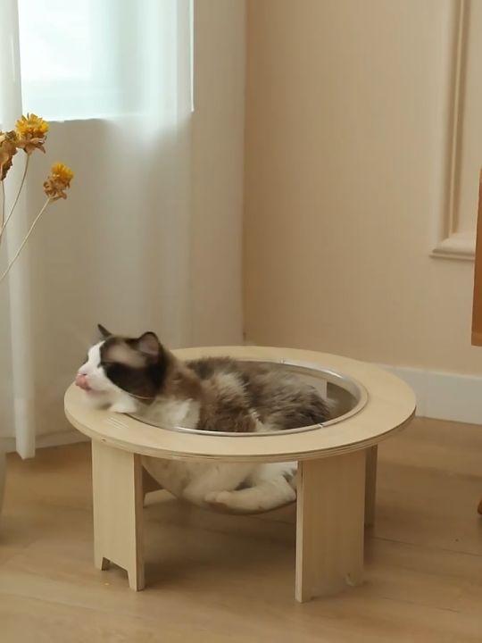 COD🐱 หลุมแมวตั้งพื้น หลุมอวกาศแมว 40*32*20cm ที่นอนแมว โดมแมว หลุมอวกาศ ...