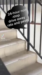 Household Rat Repellent Pills - Strong Long-Lasting Mothballs 100% Expel Rats Ants Snakes & Insects Safe for Kids & Pets