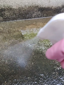 500ml Mold Cleaning Moss Remover For Multiple Surfaces Suitable For Quick Removal Of Mold Algae