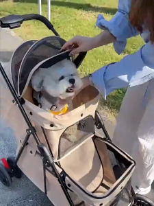 Premium Double Layer Pet Stroller [One-Click Fold] for 2 Dogs/Cats No Disassembly Required Dog Trolley Cart Heavy Duty 20kg+