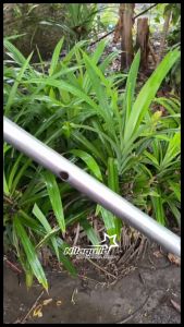 1 Set lengkap penangkal petir 60cm + pipa 60cm + sok anti petir untuk rumah / bangunan siap pasang