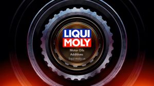 Liqui Moly Engine Flush Plus 300 ML German