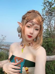 Game Zelda Cosplay Tears of the Kingdom Princess Zelda＆Link Cosplay Costume Shirt Cloak Accessories Sets Adult Outfit