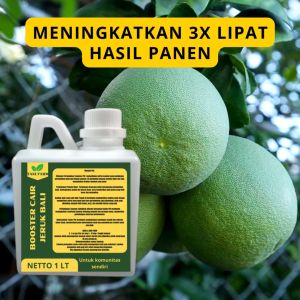 Pupuk Semprot Pelebat JERUK BALI: Tips & Trik