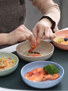 Piring Makan 24 Cm Bahan Jerami Gandum / Piring Saji Bulat Tahan Banting Anti Pecah / Piring Plastik Murah / Piring Plate Terlaris