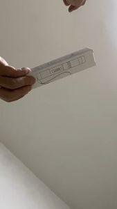 Senter Tangan & Lampu Camping Solar Lentera Portable Rechargeable Multifungsi