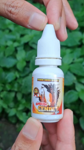 Paket Grosir 12 Pcs Energi Cendet Go vitamin penggacor burung burung pentet cendet