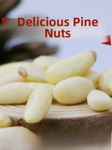 Large Particle Wild Red Pine Nut Raw Flavor New Stock Pregnant Women Snack Healthy Nuts Sweet Home Brand Canister Packaging