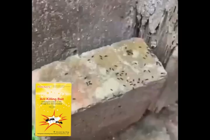 ไม่มีมดตลอดทั้งปี ผงโรยมด นำเข้าจากอเมริกา ยากําจัดมด ตายต่อเนื่องในครึ่งชั่วโมง ยาฆ่ามด อัตราการกำจัด100% ฆ่ามด