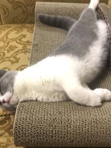 Durable Flake-free Cat Scratching Pad