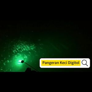 Lampu 12 volt digunakan untuk memancing lampu ikan bawah air untuk kapal sistem penangkapan ikan