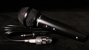 RAYHAYES High-End Dynamic Wired Microphone with 2.5 meter Cable for Videoke Christmas Gift