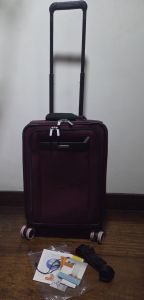 BRIGGS & RILEY 22" THE BASELINE CARRY ON EXPANDABLE SPINNER WITU GLOBAL LIFETIME WARRANTY PLUM