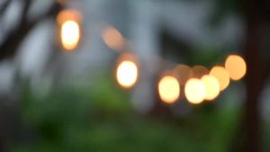 LED String Light 30M 15M Fairy String Light Festoon Patio Garden Lights Christmas Lights Gift White Cable Decoration Lights