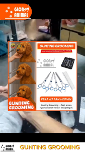 GUNTING GROOMING gunting sisir bulu hewan anjing kucing pet scissors