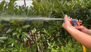 หัวฉีดน้ำน้ำแรงดัน หัวฉีดน้ำใช้งานได้ 8 สปีด  ชุดสายยาง 4หุน ยาว5M-20M.สำหรับผักกำลังโต ดอกไม้พร้อมหัวเข็มขัดประหยัดแรงสำหรับรดน้ำในสนามหญ้า