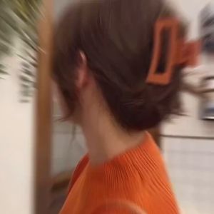 Korean style hairpin square Acrylic Frosted hairpin fashion hair accessories ladies hairpin