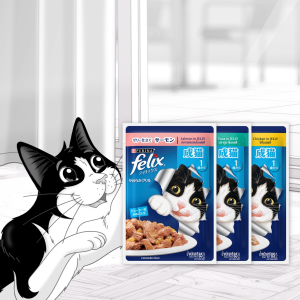 Nestle Purina FELIX Salmon Mackerel Tuna Sardine & Chicken Assorted Adult Cat Wet Food (85g x15)