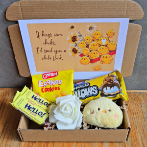 ✨ Yellow Chick Duck Yellowish Small Thoughtful Gift for Girlfriend Her Valentines LDR Surprise Package Giftsets