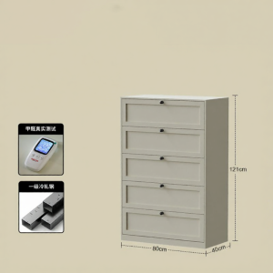 NANGUAHEZI | Steel Beautiful Storage Cabinet