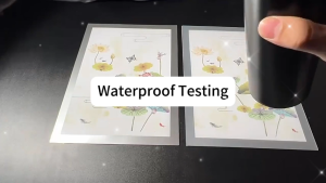 Magnetic Picture Frame A4 Transparent Pvc Display Photo Frame Childrens Award Certificate
