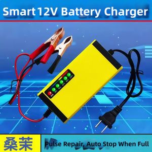 Smart Universal Car Battery Charger 12V