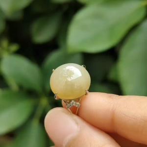 SG New Arrival Big and Thick Natural Type A Brownish Yellow Jadeite Jade set on S925 adjustable Ring certificate weighs 3.5 grams measurement 13.8 * 12.6 * 5.6 mm (s925ring20)