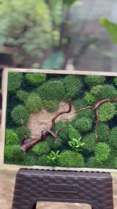 Moss Wall Artifical / Tanaman Hias Dinding / Pajangan Dinding / Lumut Sintetis / Moss Sintetis