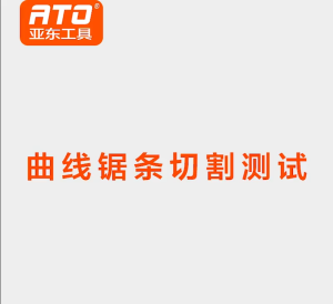 T111C T144D T244D T118A T127D WOOD METAL JIGSAW JIG SAW RECIPROCATING SAW BLADES BLADE MATA GERGAJI KAYU BESI SPARE PART FOR MOST OF THE BRAND ETC BOSCH WORKPRO ALLEFIX LADDERMAN EXTRAMAN ALLEFIX 4S Professional GST700 JS20 KK-J55